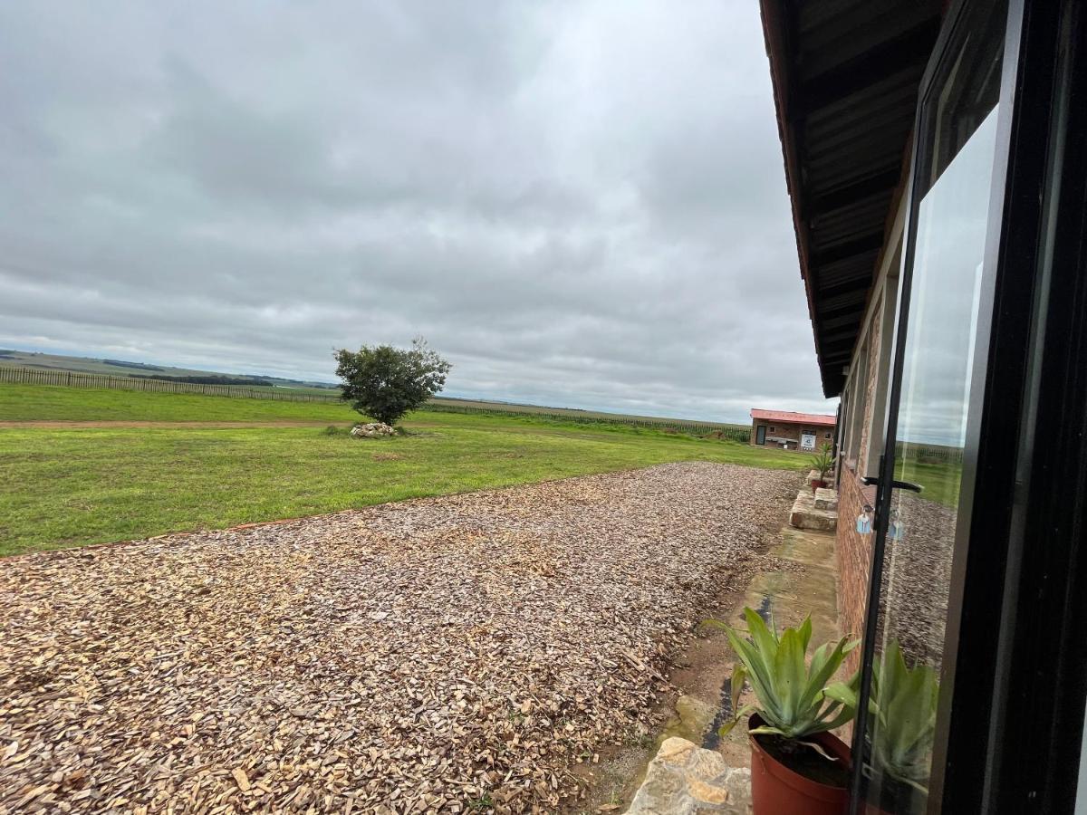 Dewdrop Farm Stay Ermelo Esterno foto