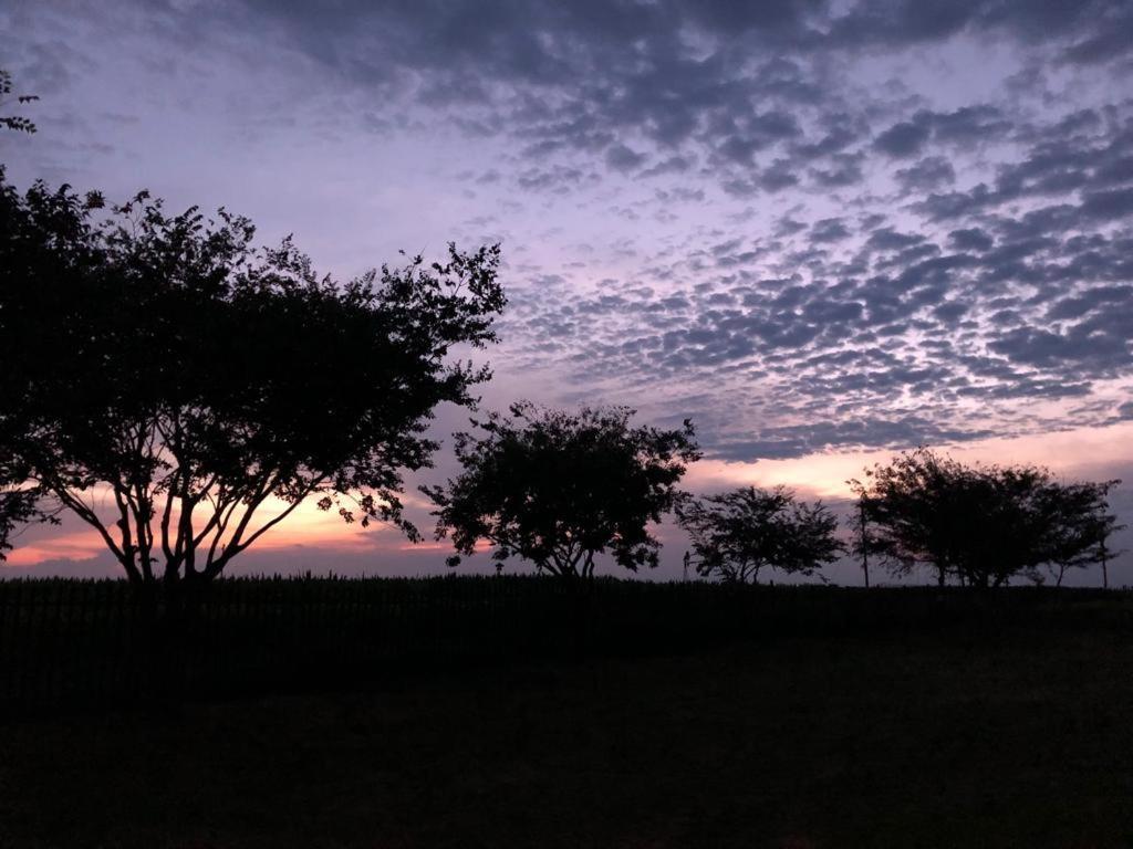 Dewdrop Farm Stay Ermelo Esterno foto